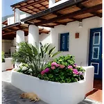 Salinarte