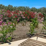 Dimora Calauriia - Adults Only
