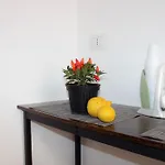 Leone Guest House