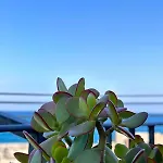 Marina House 79