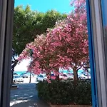Il Cristallo Del Mare