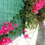 Vacanze Lido Valderice