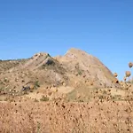 Casa Vacanze Scyauru