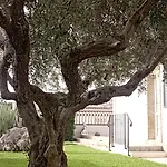 La Casetta Di Viale Paradiso