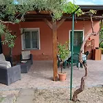 Il Vigneto 
