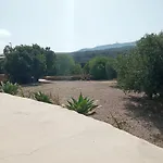 Dammuso Le Vigne