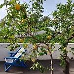 Nuovo Aliru