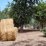 Colle Dei Rustici Ospitalita In Sicilia