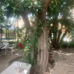 Casetta Nel Verde