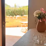 La Casa Cycas A Villa Margherita