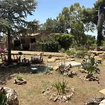 Raw Sicily 11