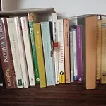 La Casa Delle Api