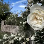 Santoro Country House