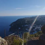 La Pineta