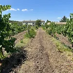 L'Antica Vigna