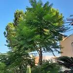 Casanzina - Tri-Locale - Casa Vacanze A Marsala Immersa Nella Natura A 4 Km Dal Mare