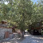 B & B Le Casette Sull'Albero Di Villa Alba