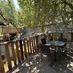 B & B Le Casette Sull'Albero Di Villa Alba