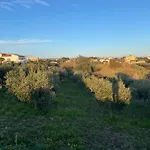 Nella Valle Dei Templi E Al Mare