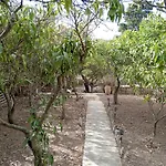 Vittoriostella Villa Immersa Nel Verde
