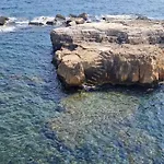 Ortigia 116