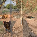 Beautiful Home In Chiaramonte Gulfi