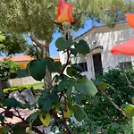 Villa Fiori Giardino, 400 M. Mare Con Parcheggio