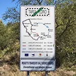 La Dolce Vita