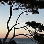 Villa Albamonte