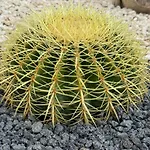 Coral Sand Bed And Breakfast
