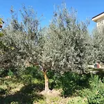 A Casa Mia