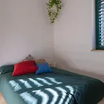 Surya Home