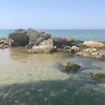 Il Giardino Degli Aranci