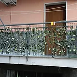 Elvyhouse City