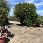 A Casa Di Alma