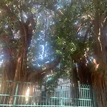 Casa Raccuglia