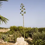 Villa Ivana