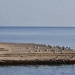In Riva Al Mare Da Franca