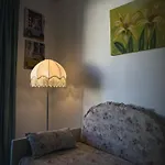 Emily'S House