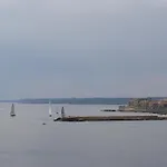 Riccio Di Mare - Large And Bright Flat On The Sea