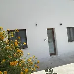 Olea