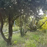 Villa Vittoria