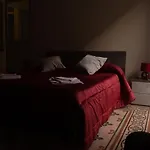 Pacini Deluxe Apartment