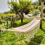 Il Primo Fiore