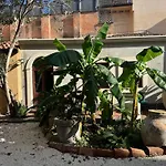 Giardino Crociferi 30