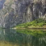 Bouganville In Villa Greco