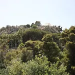Lady Hill