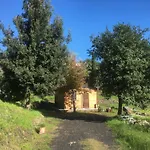 Alberto'S Mt.Etna B&B