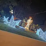 Solemaremessina