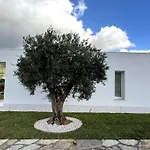 Villa Nanni Contemporary, Pool And Garden